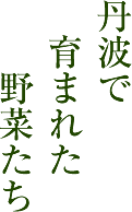 丹波で生まれた野菜たち