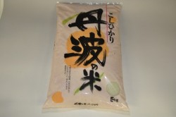 丹波米（5kg）